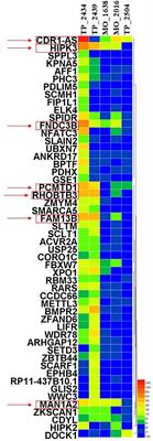 Circular RNA Signature in Lung Adenocarcinoma: A MiOncoCirc Database-Based Study and Literature Review